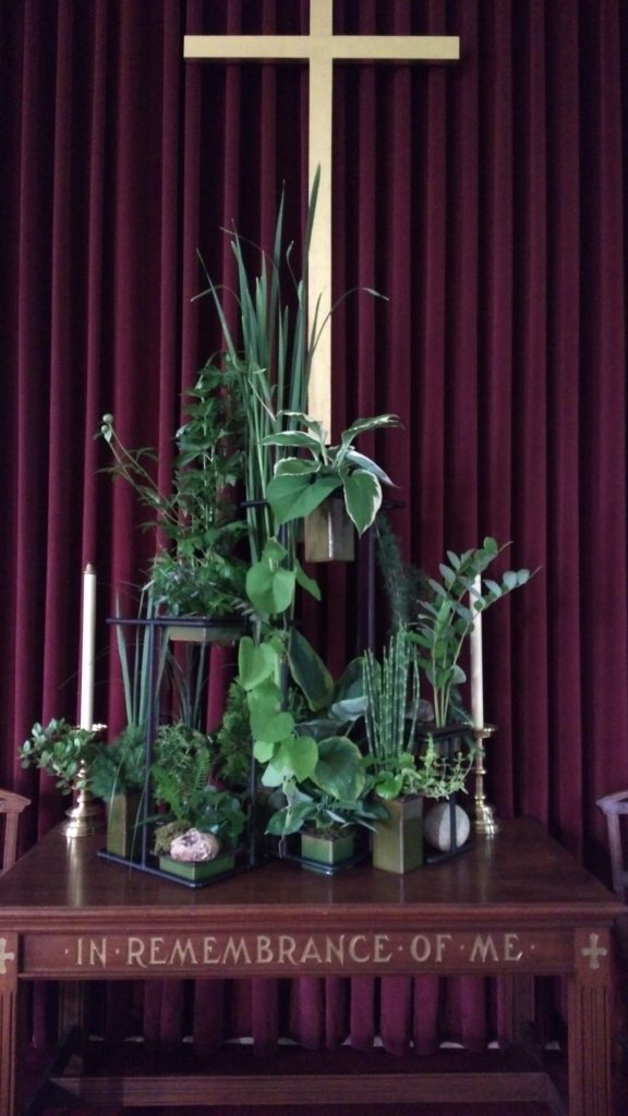 Shows creative floral display by Ned Davis